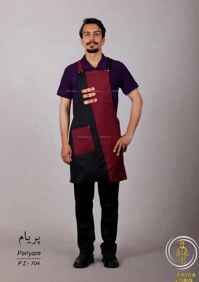 پیش بند مدل پریام 